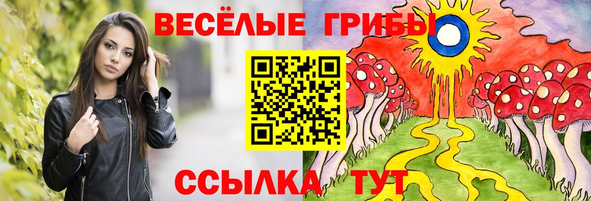 Кировск  Псилоцибиновые грибы мицелий  Вход с VPN 